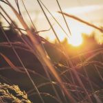 The Attentivness Of Our Savior