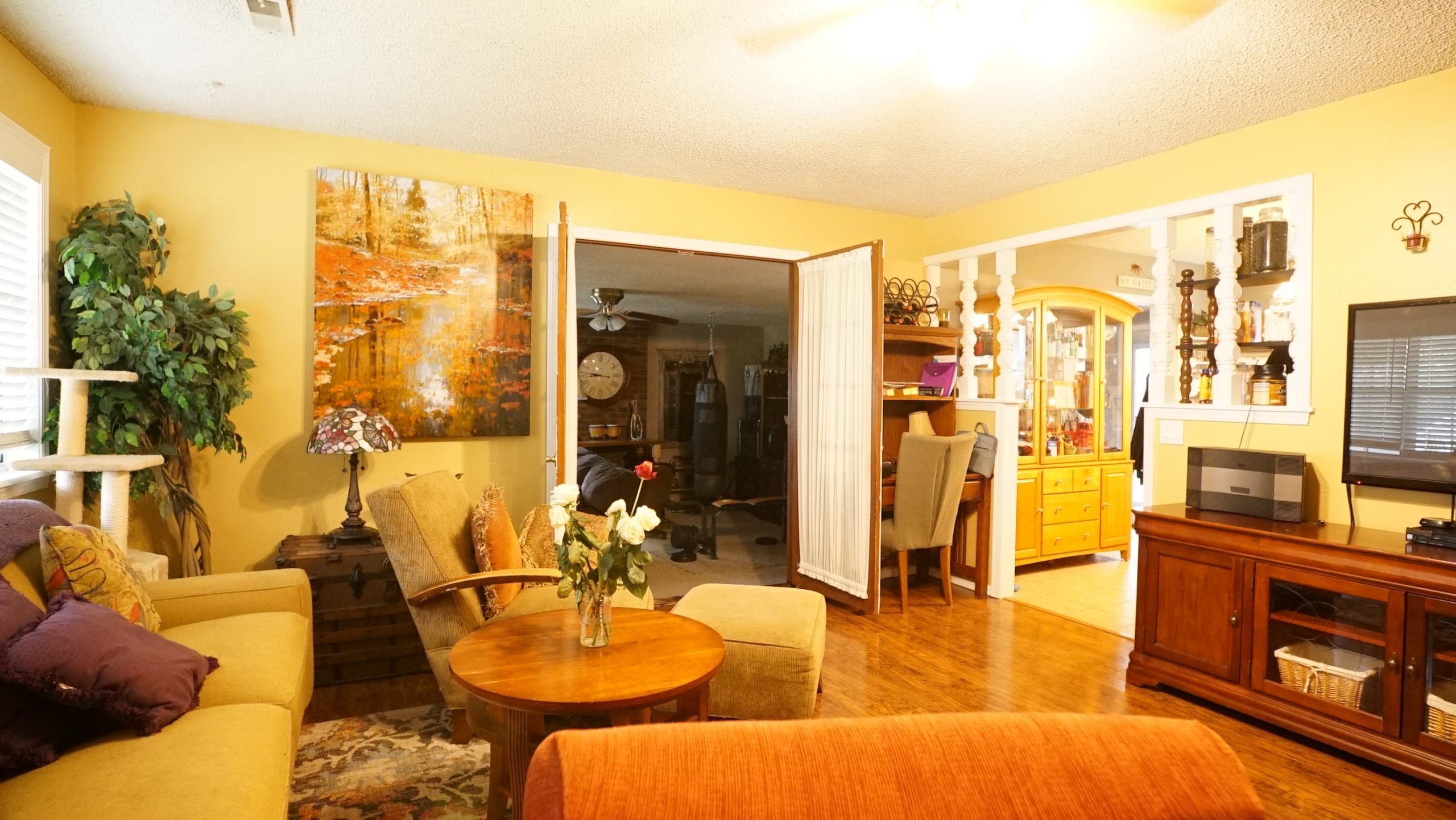 Carnahan_Livingroom2