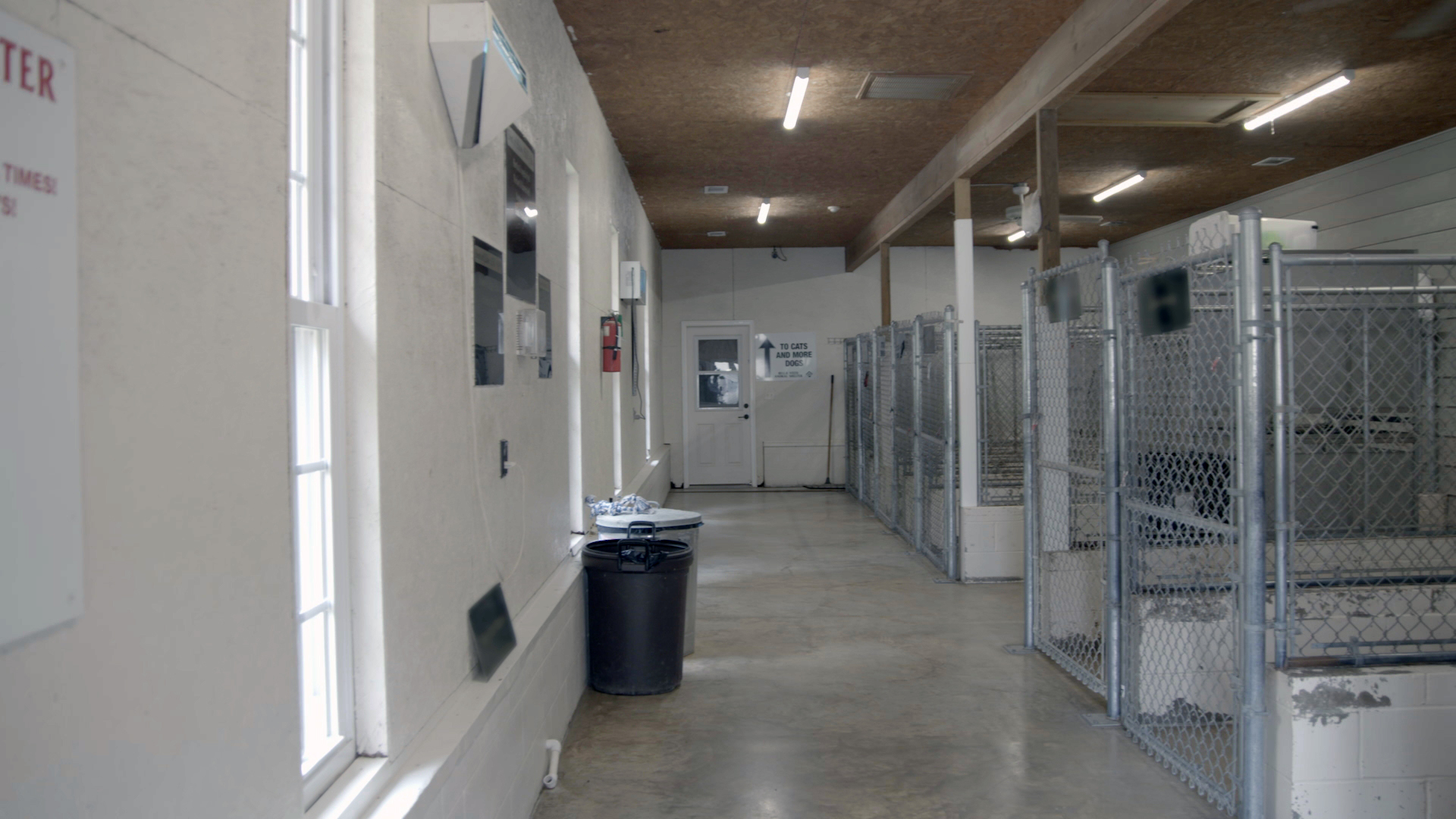 FTF 310_Animal Shelter_Before_01