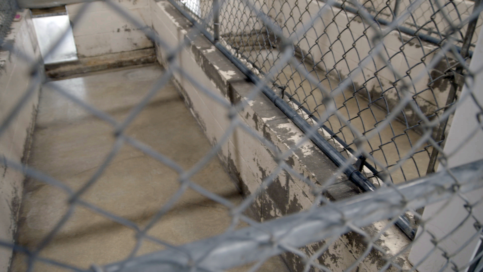 FTF 310_Animal Shelter_Before_02