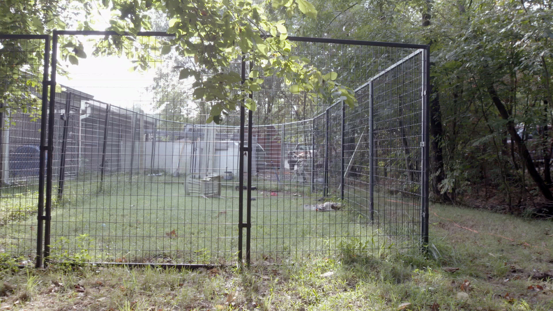 FTF 310_Animal Shelter_Before_05