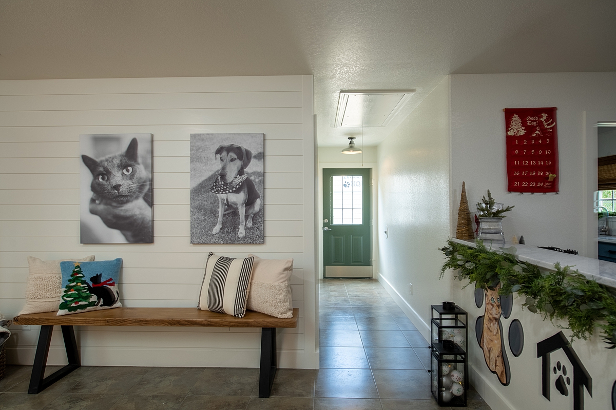 FTF S3 Bella Vista Animal Shelter Interiors 00007_LowRes