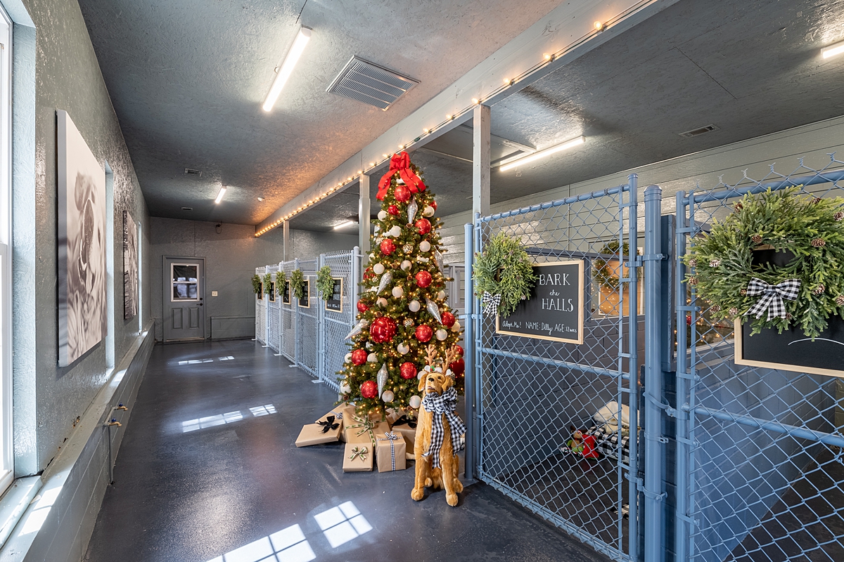 FTF S3 Bella Vista Animal Shelter Interiors 00020_LowRes