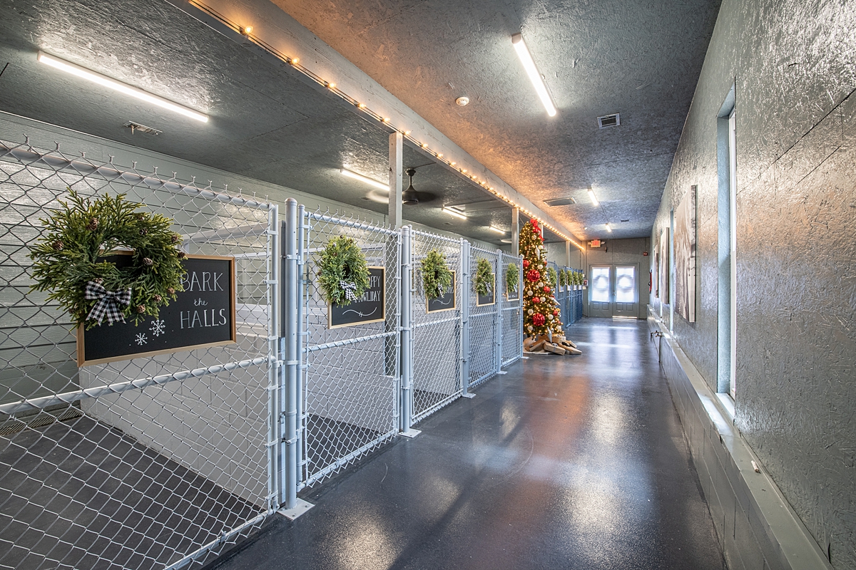 FTF S3 Bella Vista Animal Shelter Interiors 00025_LowRes