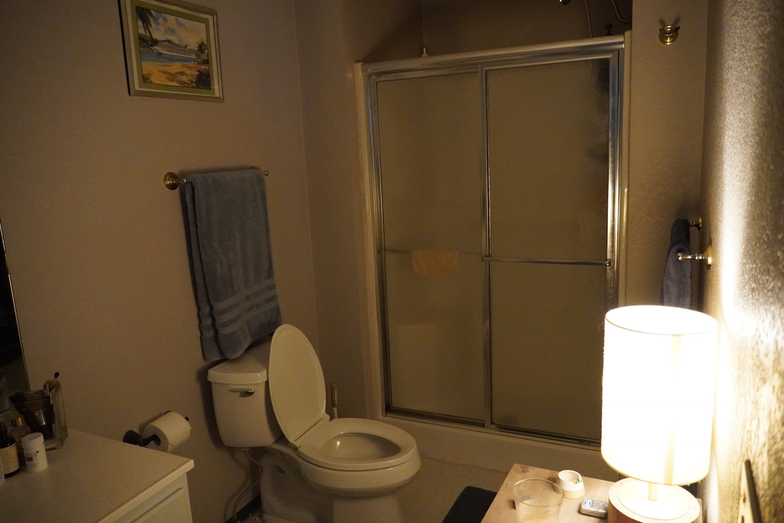 HALHM406_BEFORE_MAIN-BATHROOM_1