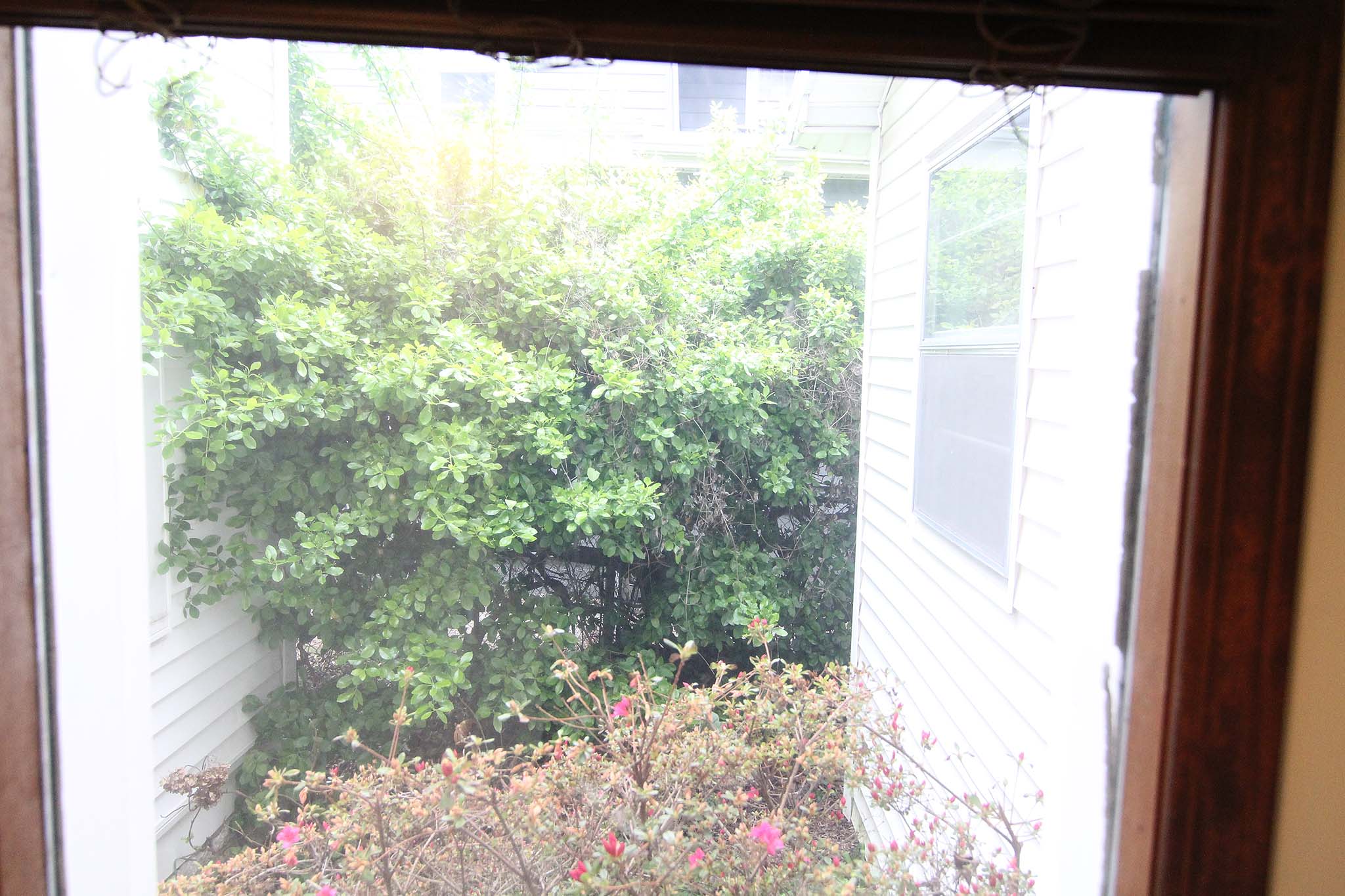 IMG_9818 copy
