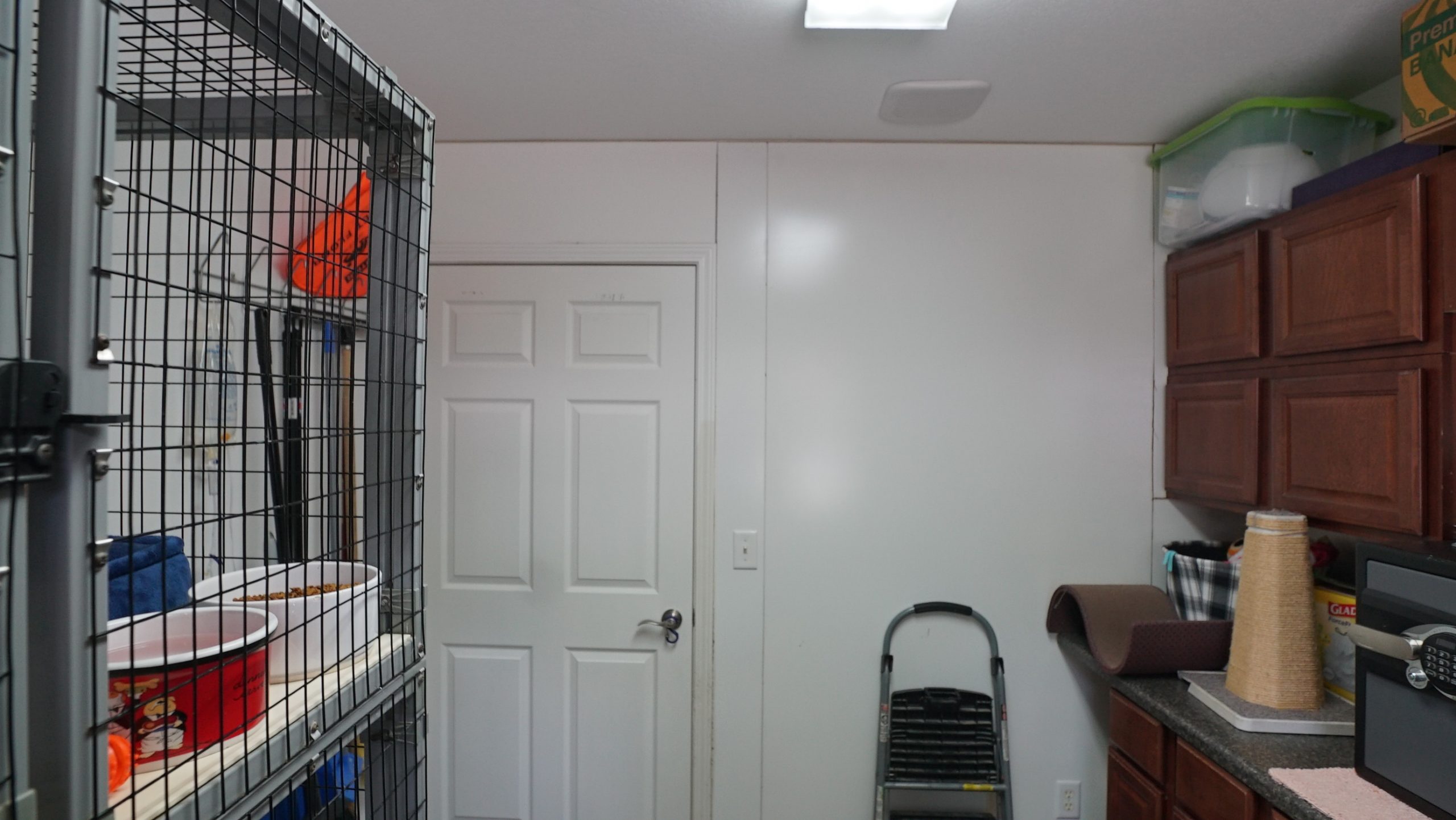 Shelter_CatRoom3